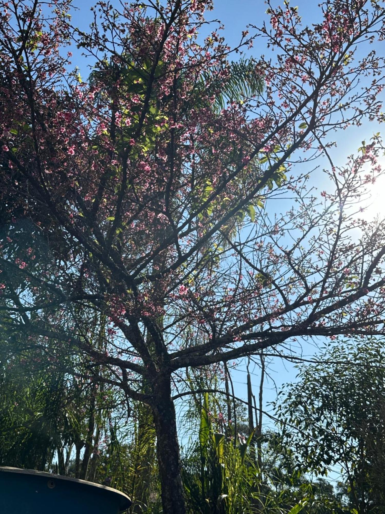 Morada Dos Beija-Flores Ибиуна Экстерьер фото